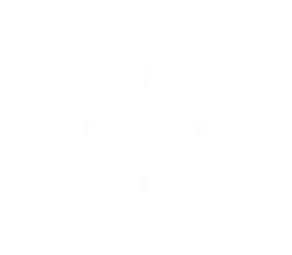 Kosmic Sols